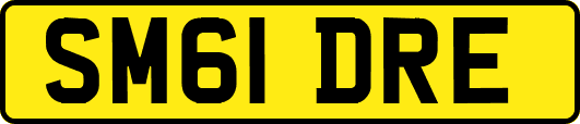 SM61DRE