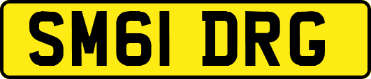 SM61DRG