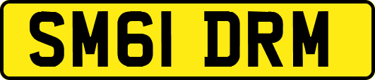 SM61DRM
