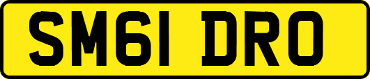 SM61DRO