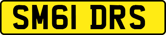 SM61DRS