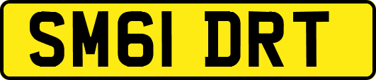 SM61DRT