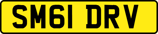 SM61DRV