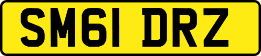 SM61DRZ