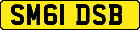 SM61DSB