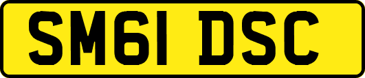 SM61DSC