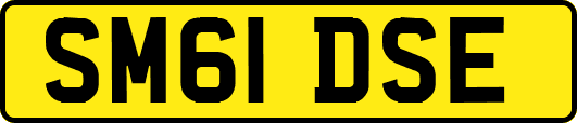 SM61DSE