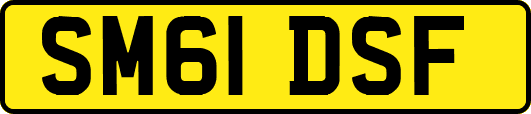 SM61DSF