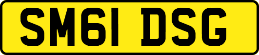 SM61DSG