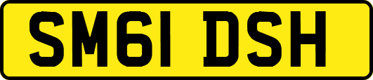 SM61DSH