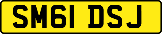 SM61DSJ
