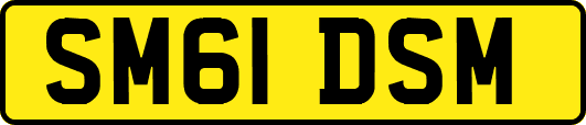 SM61DSM