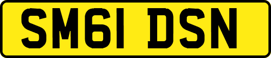 SM61DSN