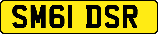 SM61DSR