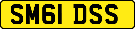 SM61DSS