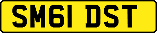 SM61DST