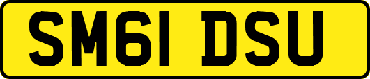 SM61DSU