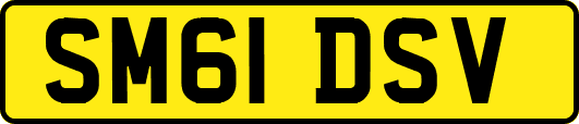 SM61DSV