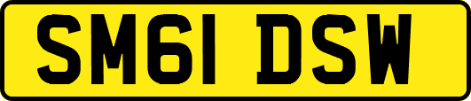SM61DSW