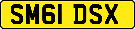 SM61DSX