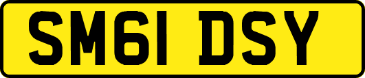 SM61DSY