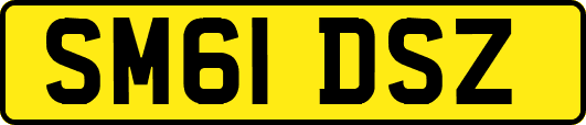 SM61DSZ