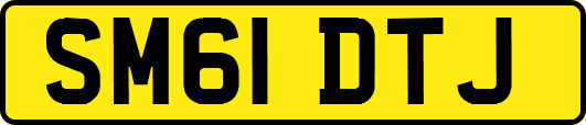 SM61DTJ