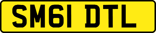SM61DTL