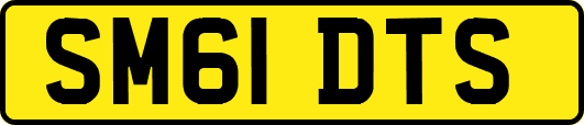 SM61DTS