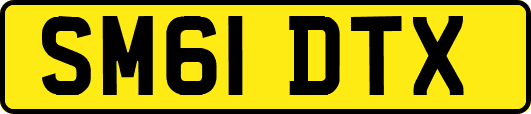 SM61DTX