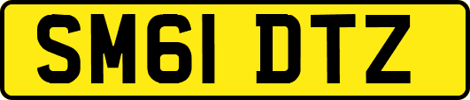 SM61DTZ