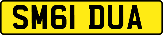 SM61DUA