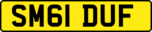 SM61DUF
