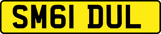 SM61DUL