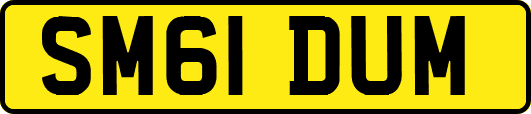 SM61DUM