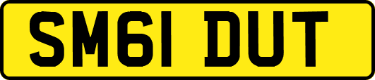 SM61DUT