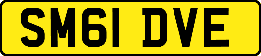 SM61DVE