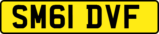 SM61DVF