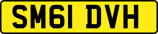 SM61DVH