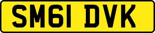 SM61DVK