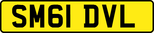 SM61DVL