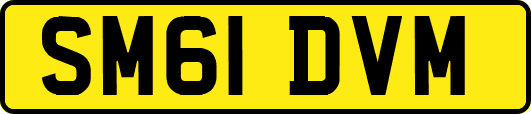 SM61DVM