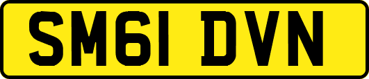 SM61DVN