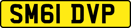 SM61DVP