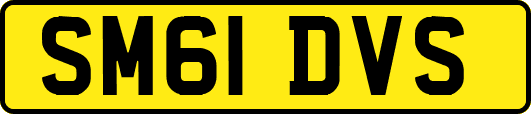 SM61DVS