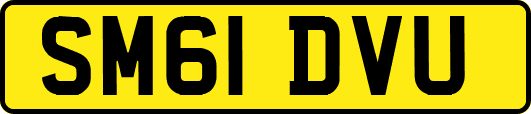 SM61DVU