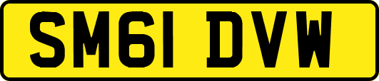 SM61DVW