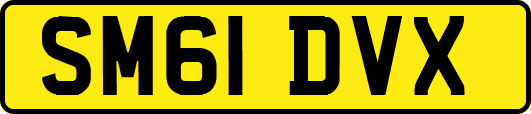 SM61DVX
