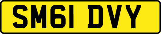 SM61DVY