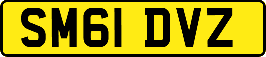 SM61DVZ